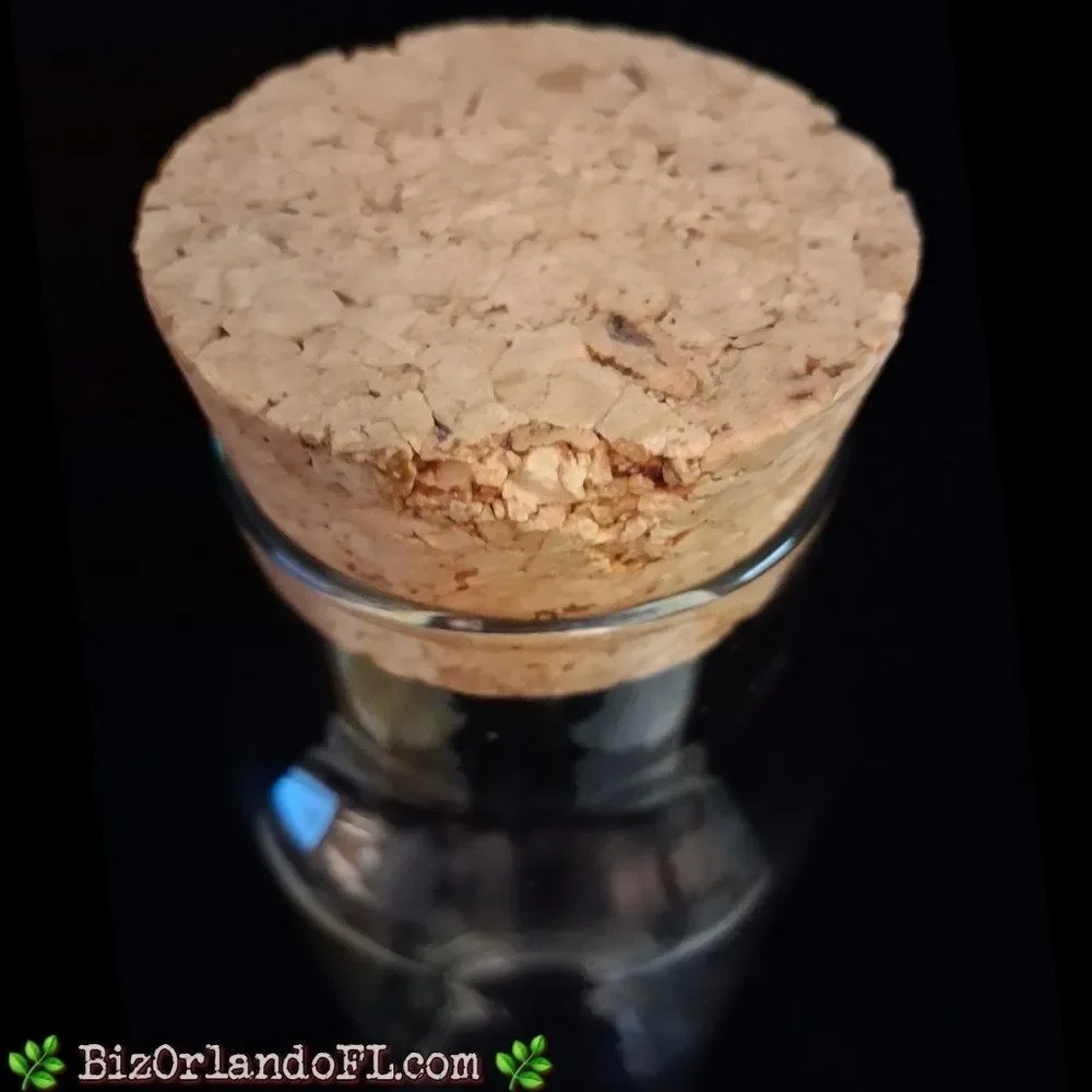 VINTAGE: Clear Tall Glass Cylinder Bottle Terrarium With Cork Stopper
